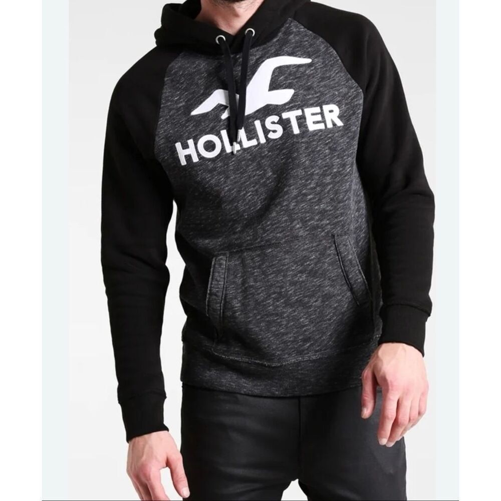 Hollister Logo Hooded Sweatshirt